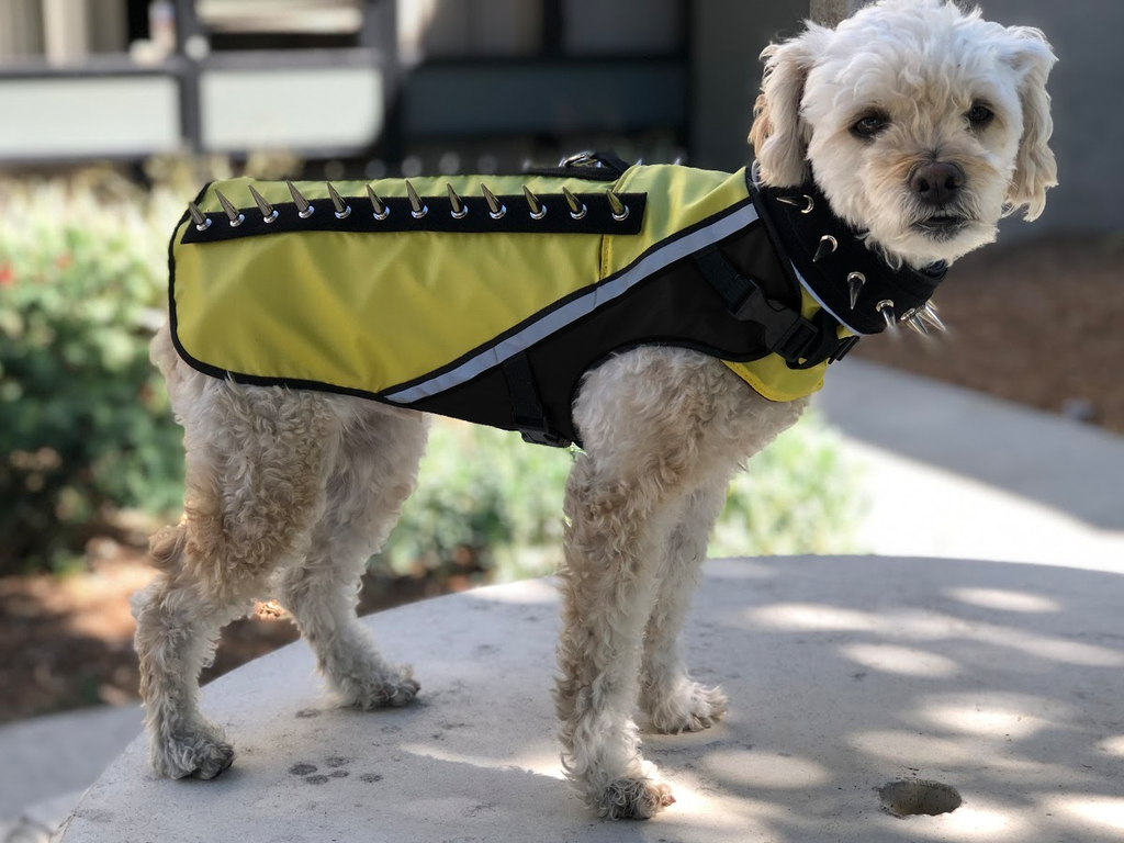 Dog 2025 vest spikes