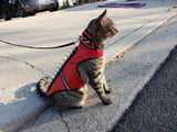 SpikeVest for Cats