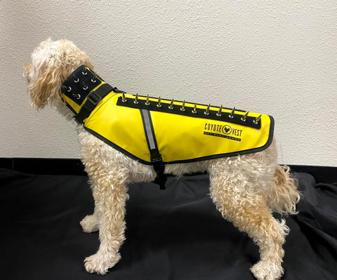 These Protective Coyote Vests for Dogs Help Keep Your Pup Safe From  Predators