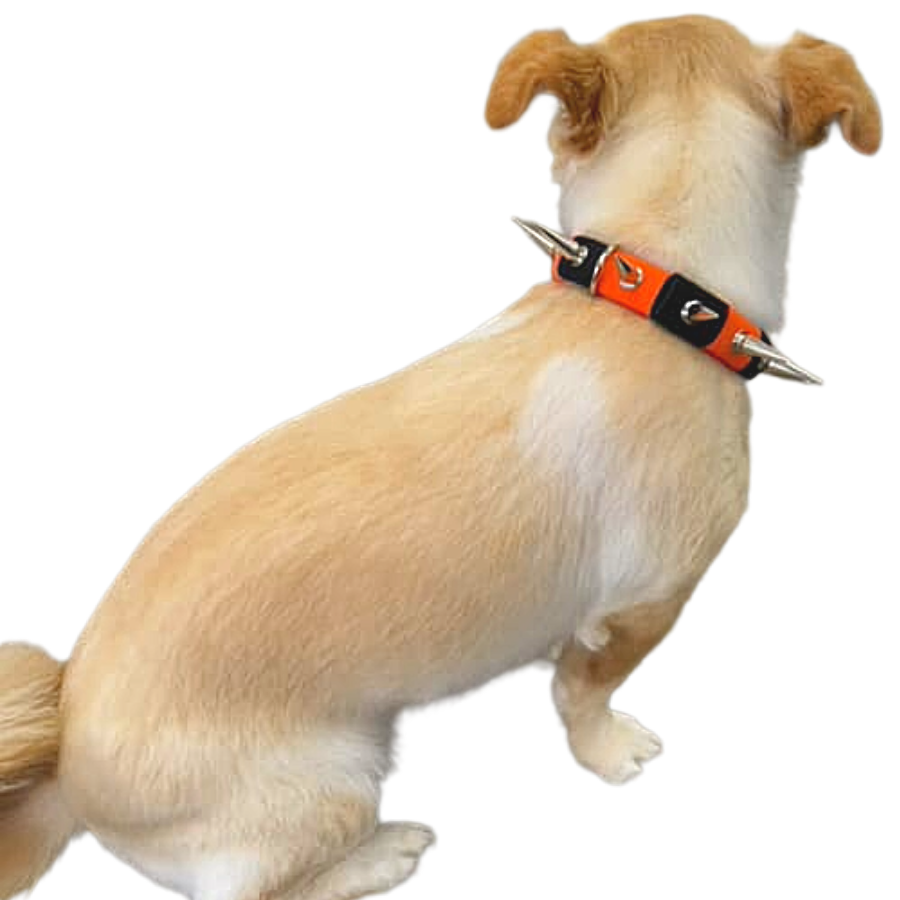 CoyoteCollar – CoyoteVest