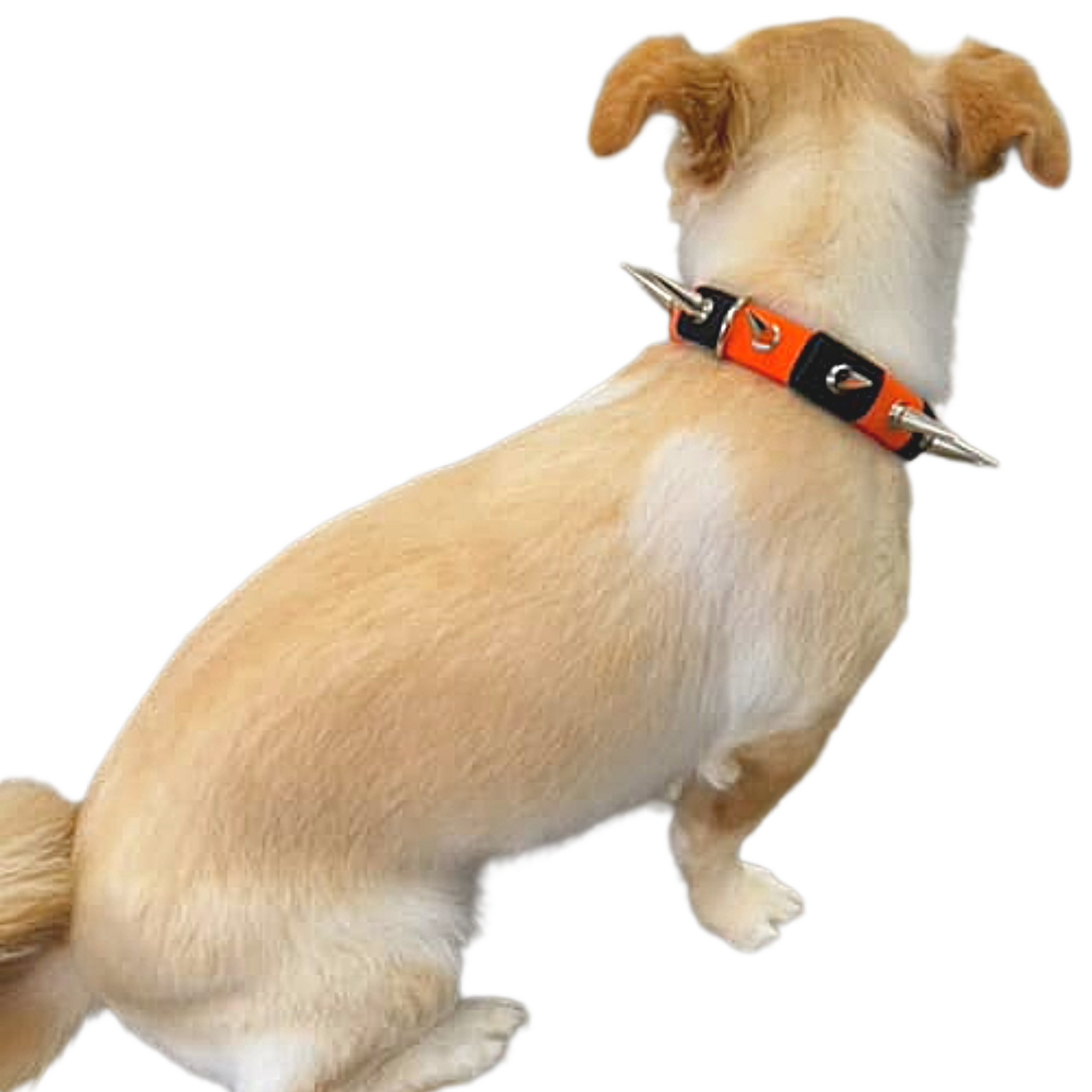 CoyoteCollar – CoyoteVest