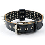 Spiked Collar for Big Dogs