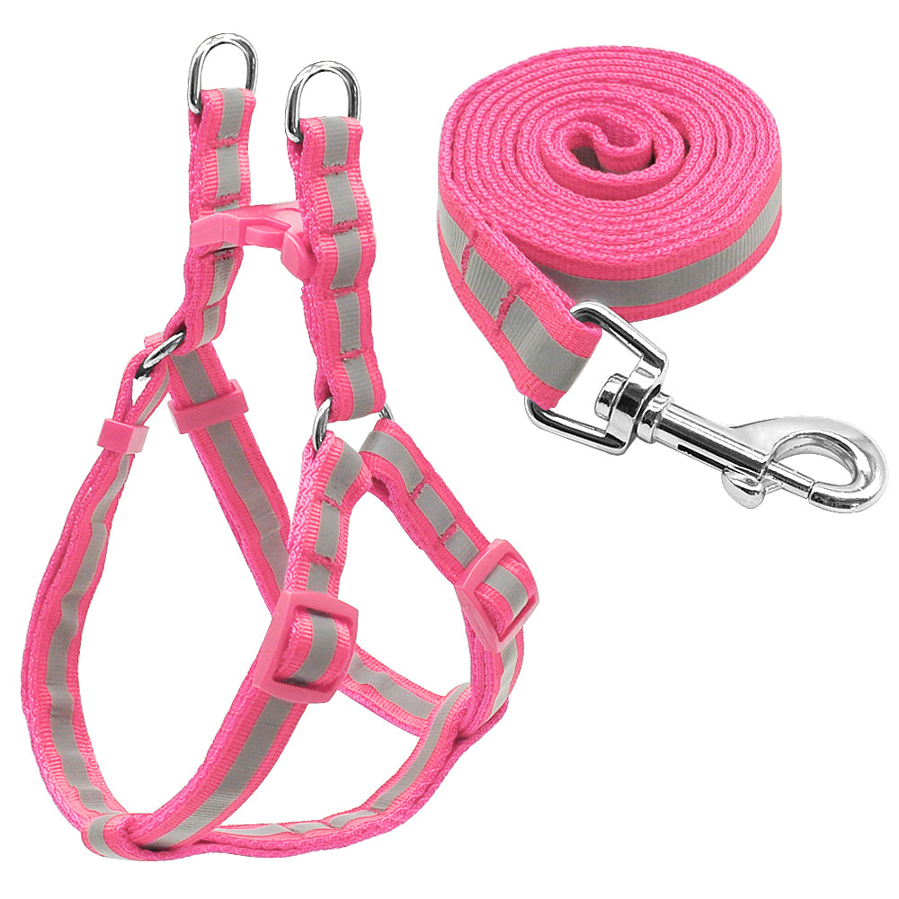 harness and leash set