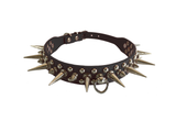 Spiked Collar