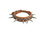 Spiked Collar