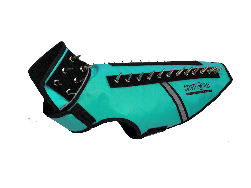 turquoise_12124466-8c4f-4897-